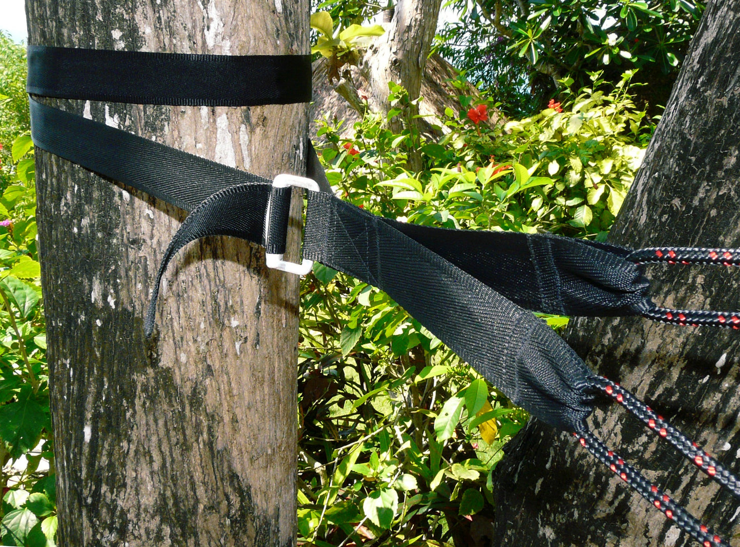 Deluxe Cinching Tree Straps-3