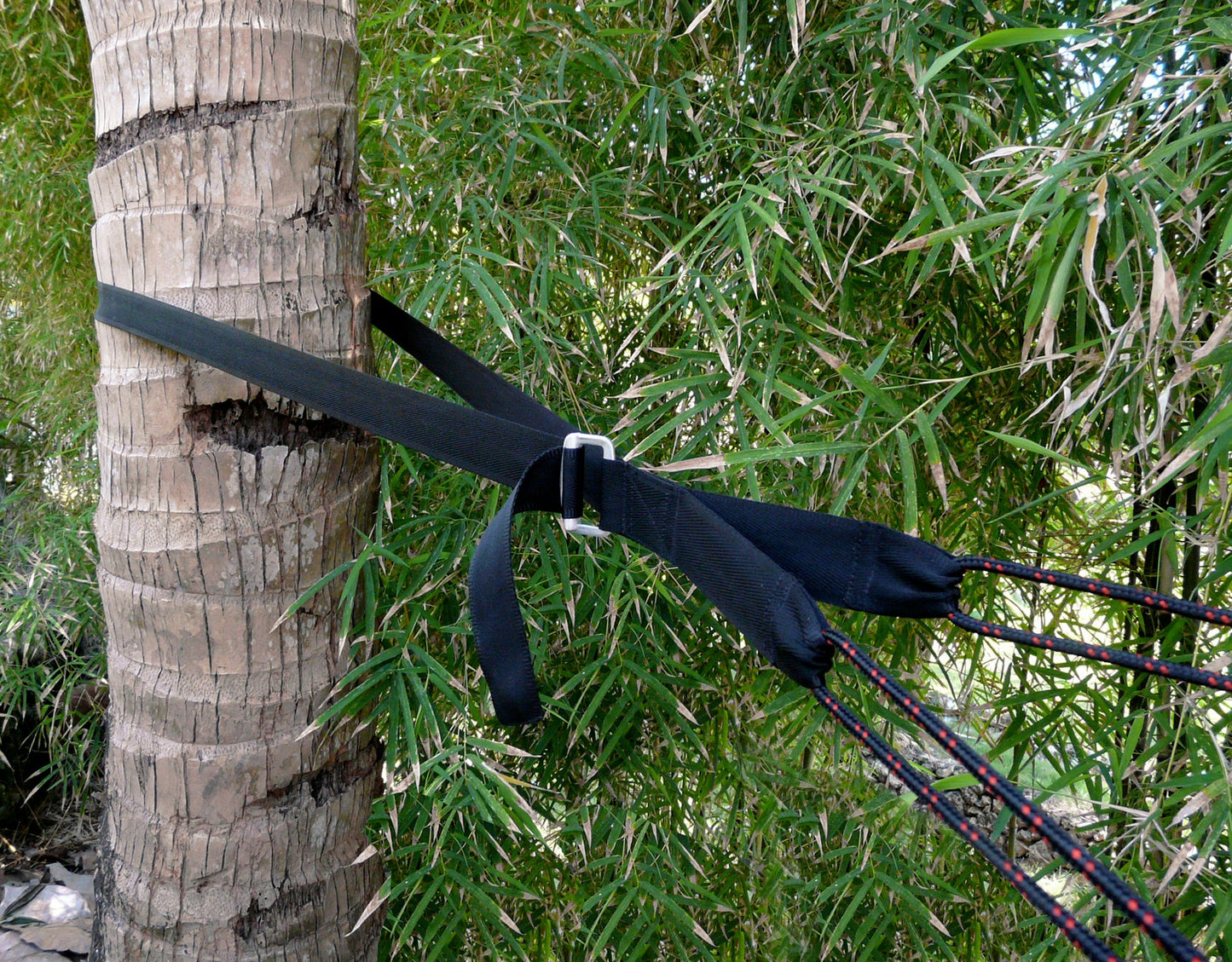 Deluxe Cinching Tree Straps-2