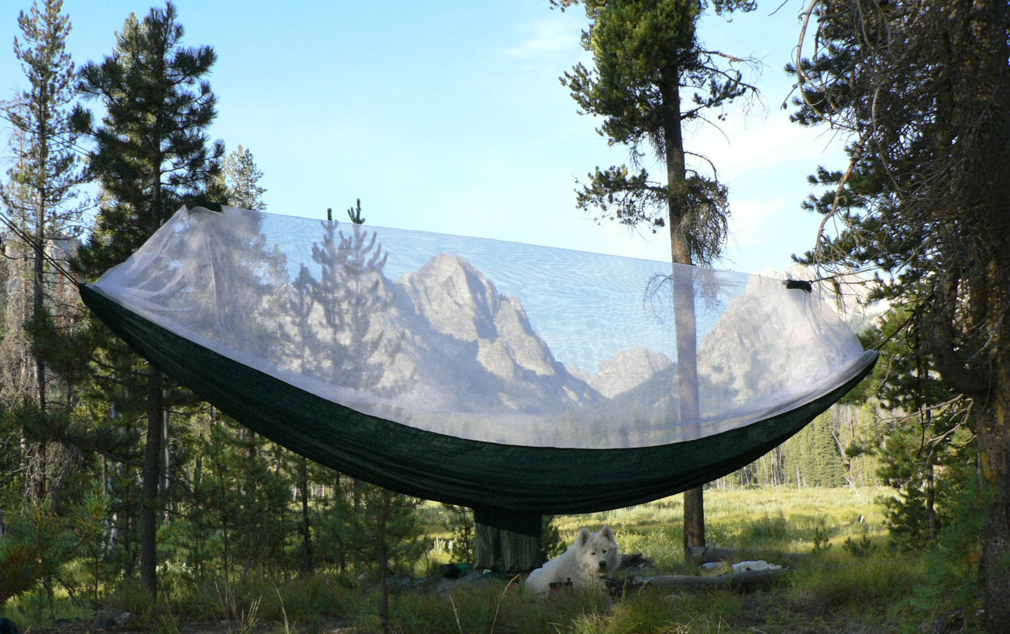 Mosquito Free-1