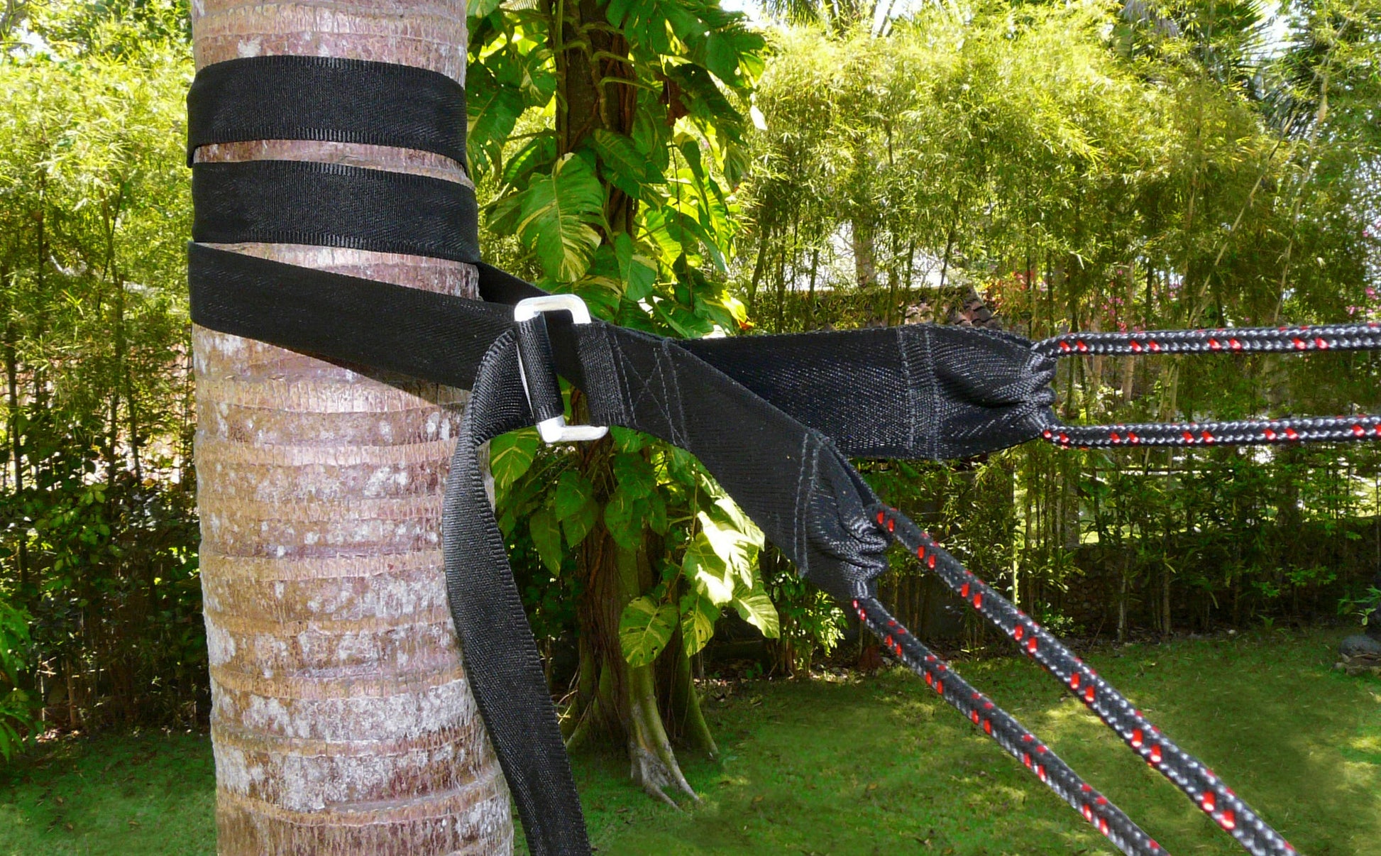 Deluxe Cinching Tree Straps-1