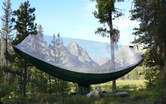 Mosquito Free-1