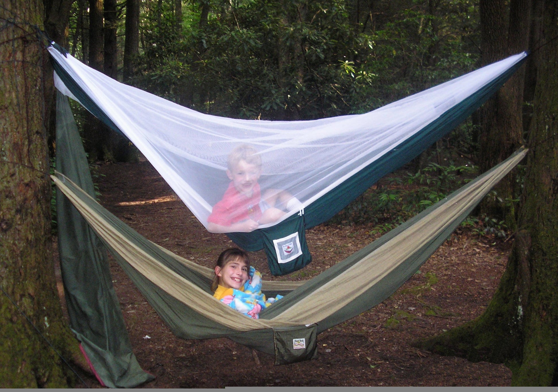 Mosquito Free-2